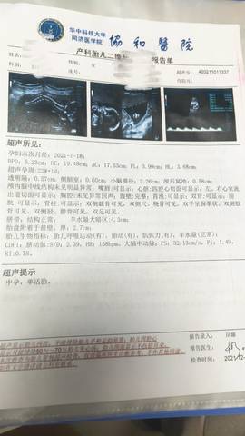 journal_insert_pic_1685776601