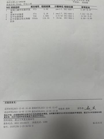 journal_insert_pic_1673277462