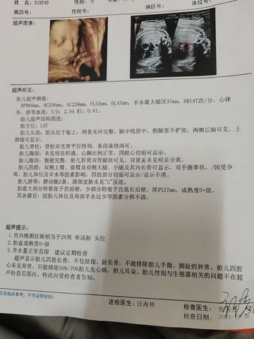 journal_insert_pic_1689289109