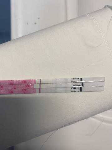 journal_insert_pic_1674362382