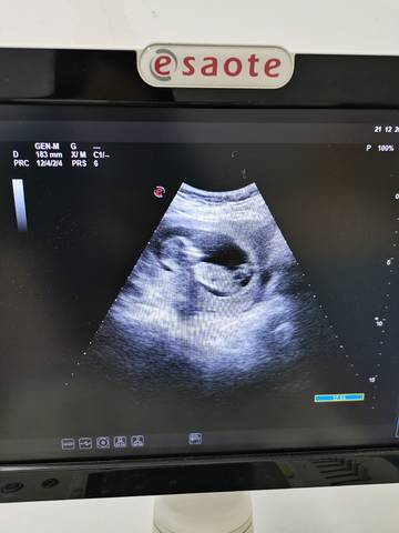 journal_insert_pic_1684527540