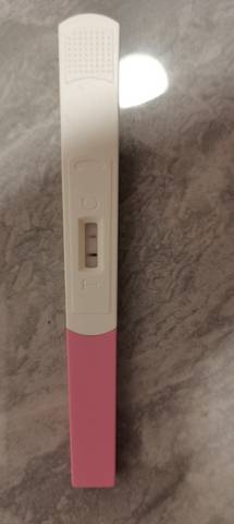 journal_insert_pic_1677745984