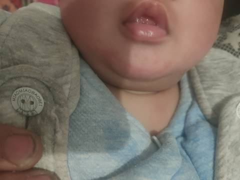 journal_insert_pic_1686638117