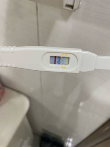 journal_insert_pic_1690499432