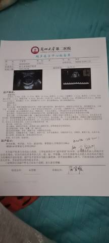 journal_insert_pic_1682288260