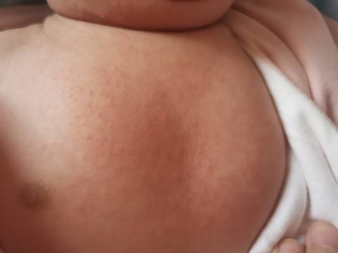 journal_insert_pic_1675530068