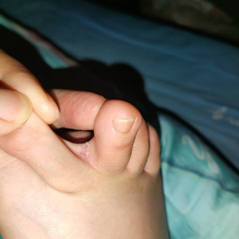 journal_insert_pic_1681791743