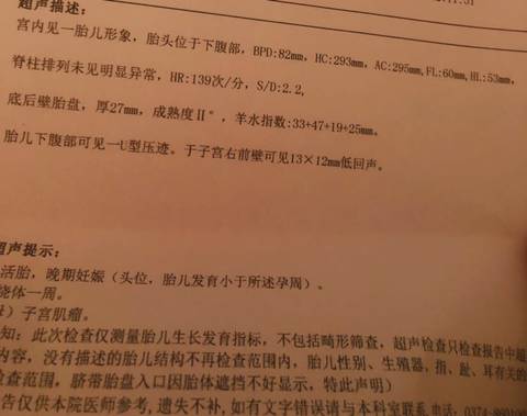 journal_insert_pic_1683149803