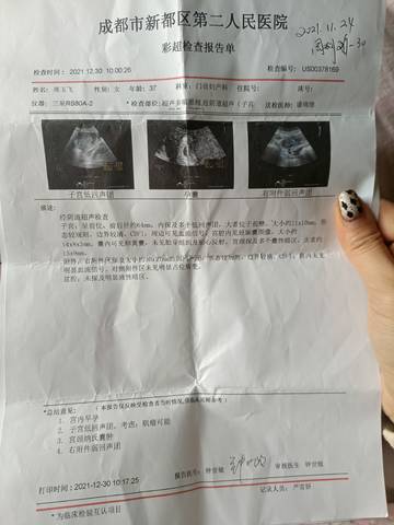 journal_insert_pic_1689153396