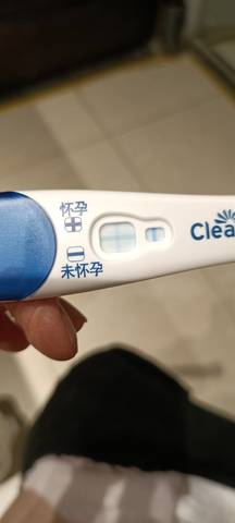 journal_insert_pic_1673912661