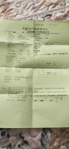 journal_insert_pic_1686424730