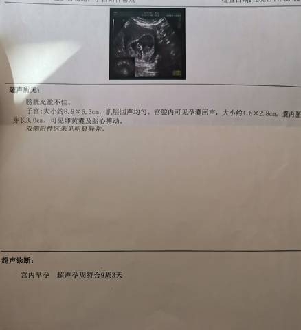 journal_insert_pic_1673985185