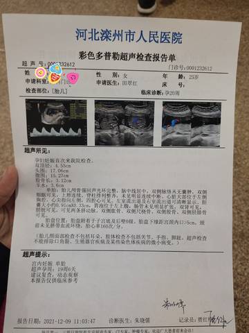 journal_insert_pic_1676734287