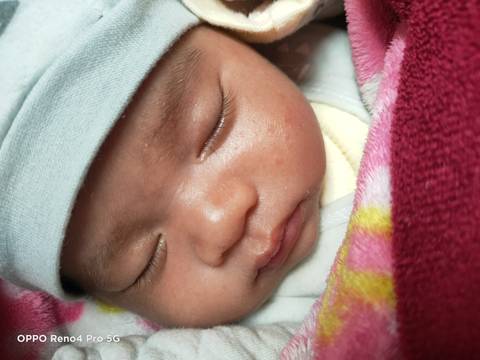 journal_insert_pic_1684201112