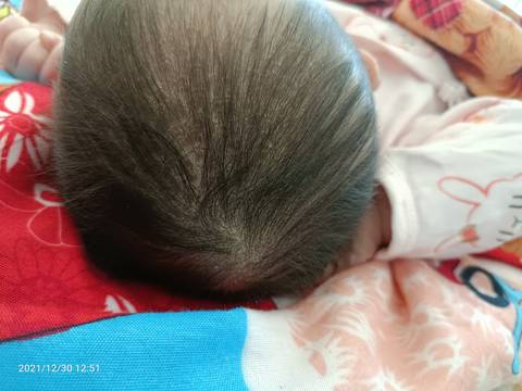 journal_insert_pic_1688880114