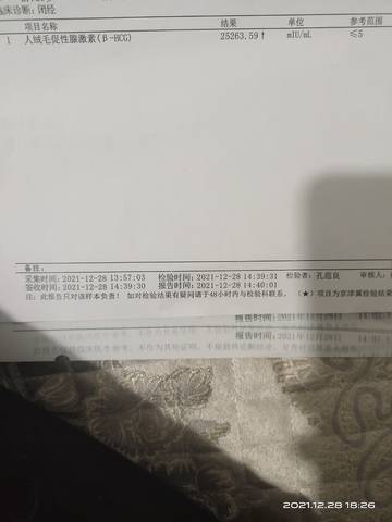 journal_insert_pic_1687847245