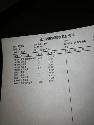 journal_insert_pic_1674064064