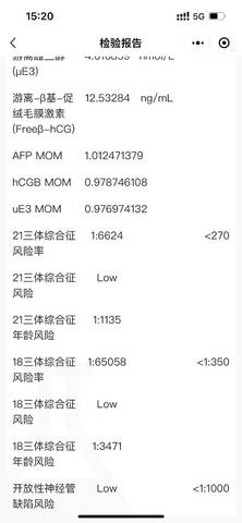 journal_insert_pic_1719606460