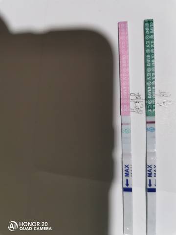 journal_insert_pic_1688734849