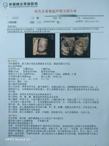 journal_insert_pic_1681911607