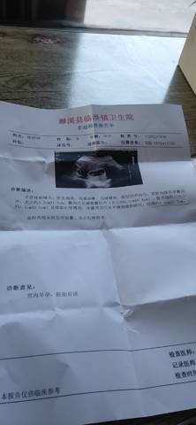 journal_insert_pic_1674307398