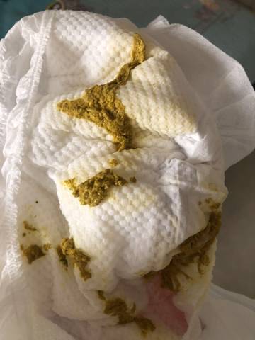 journal_insert_pic_1719387481