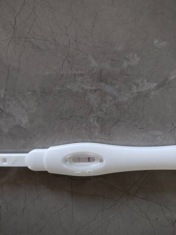 journal_insert_pic_1674614080