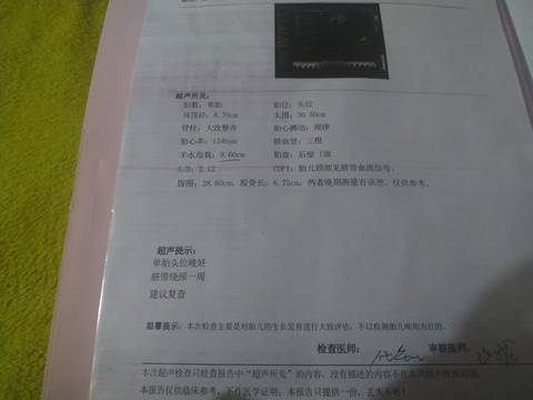 journal_insert_pic_1685978213