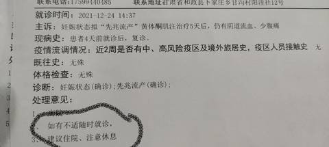 journal_insert_pic_1685411128