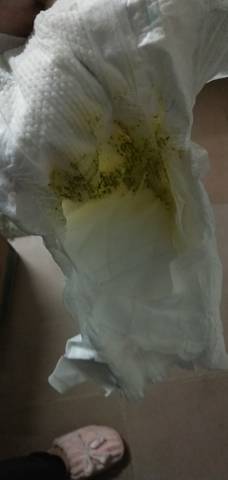 journal_insert_pic_1690480887