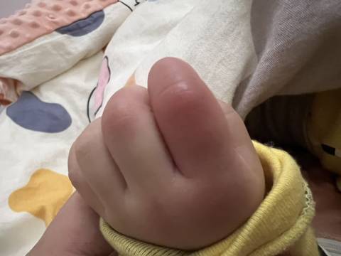 journal_insert_pic_1675754232