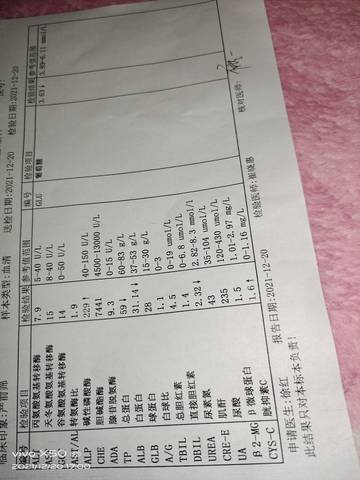 journal_insert_pic_1683147371
