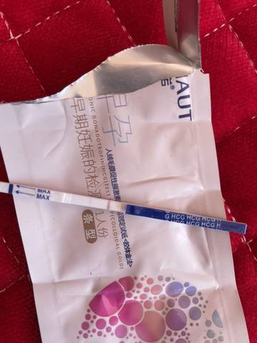 journal_insert_pic_1688581834