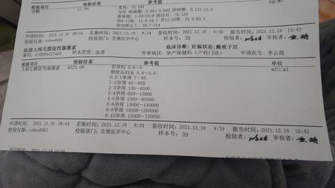 journal_insert_pic_1687265848