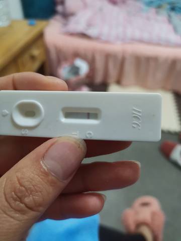 journal_insert_pic_1690374994