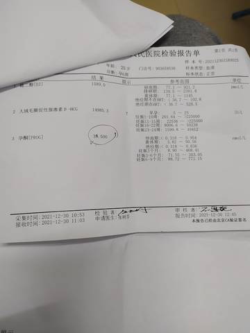 journal_insert_pic_1689052212