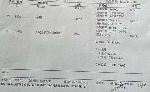 journal_insert_pic_1719471742
