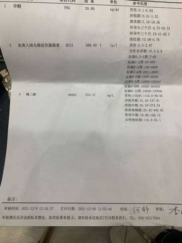 journal_insert_pic_1676858430