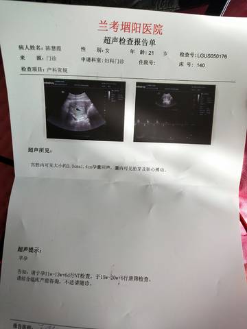 journal_insert_pic_1689430553