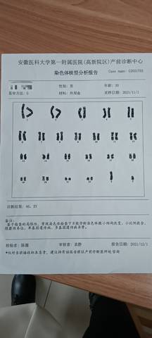journal_insert_pic_1684615882