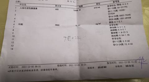 journal_insert_pic_1674790882