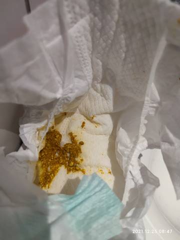 journal_insert_pic_1687528781