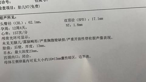 journal_insert_pic_1683557108
