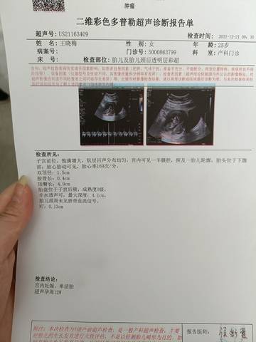 journal_insert_pic_1686250188