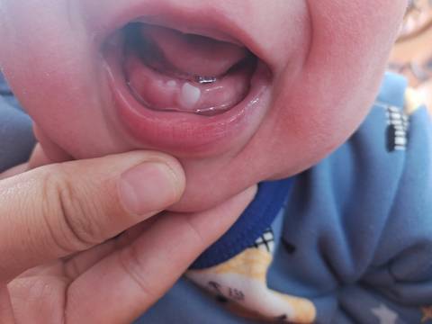 journal_insert_pic_1685743612