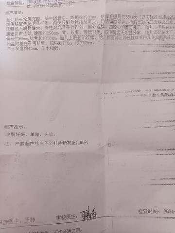 journal_insert_pic_1685811835