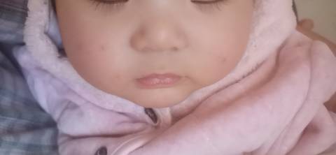 journal_insert_pic_1681622607