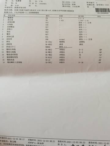 journal_insert_pic_1673418338