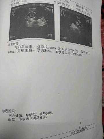 journal_insert_pic_1687340860