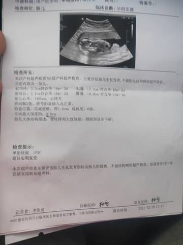 journal_insert_pic_1687790090